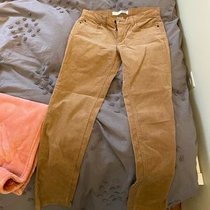 Corduroy pants
